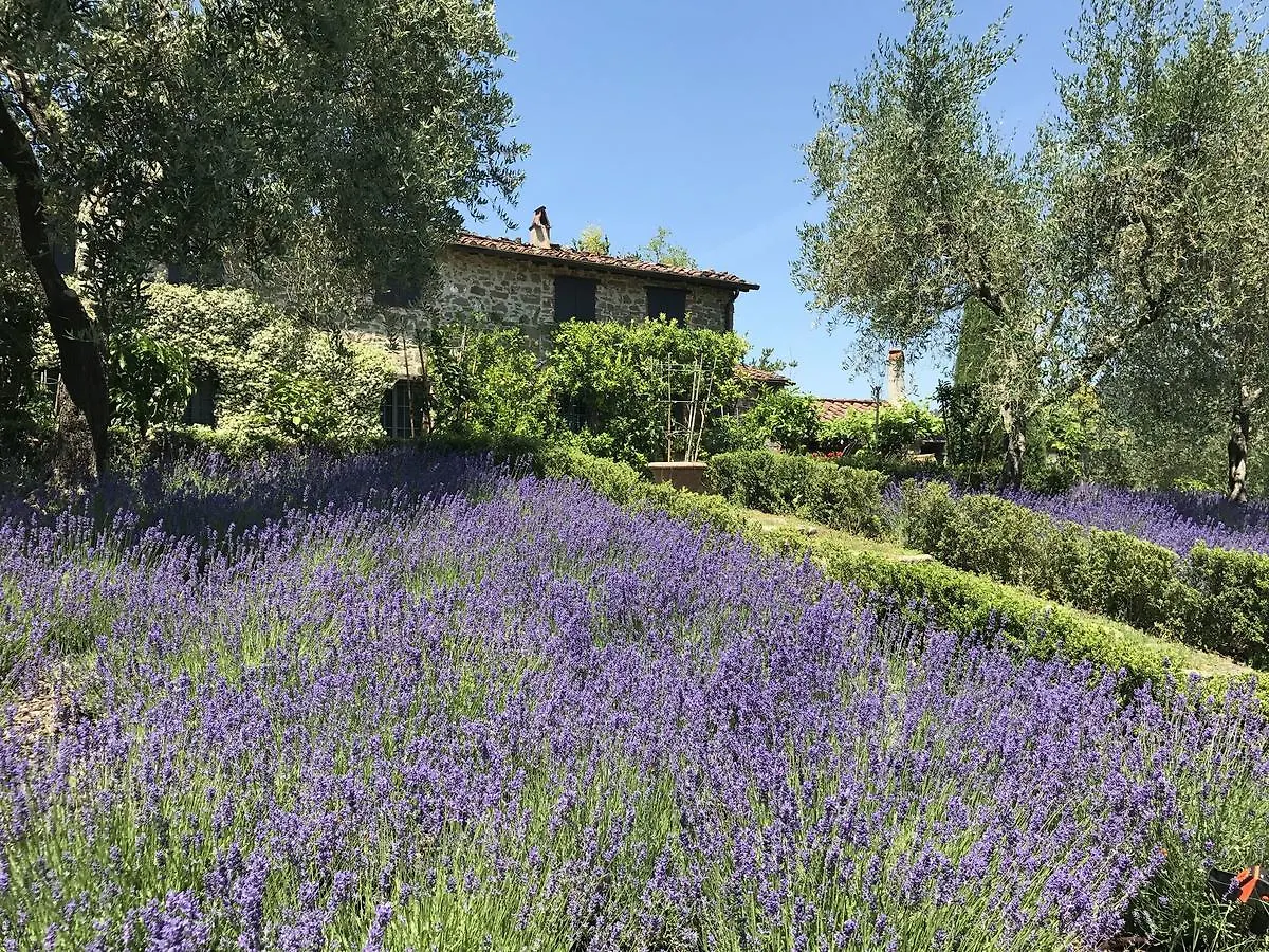 Macennere By Salogi Villas Lucca