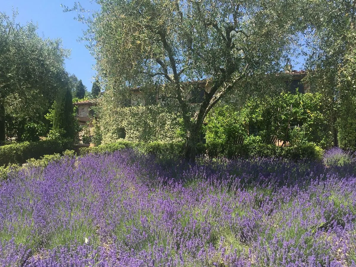 Macennere By Salogi Villas Lucca 0*,