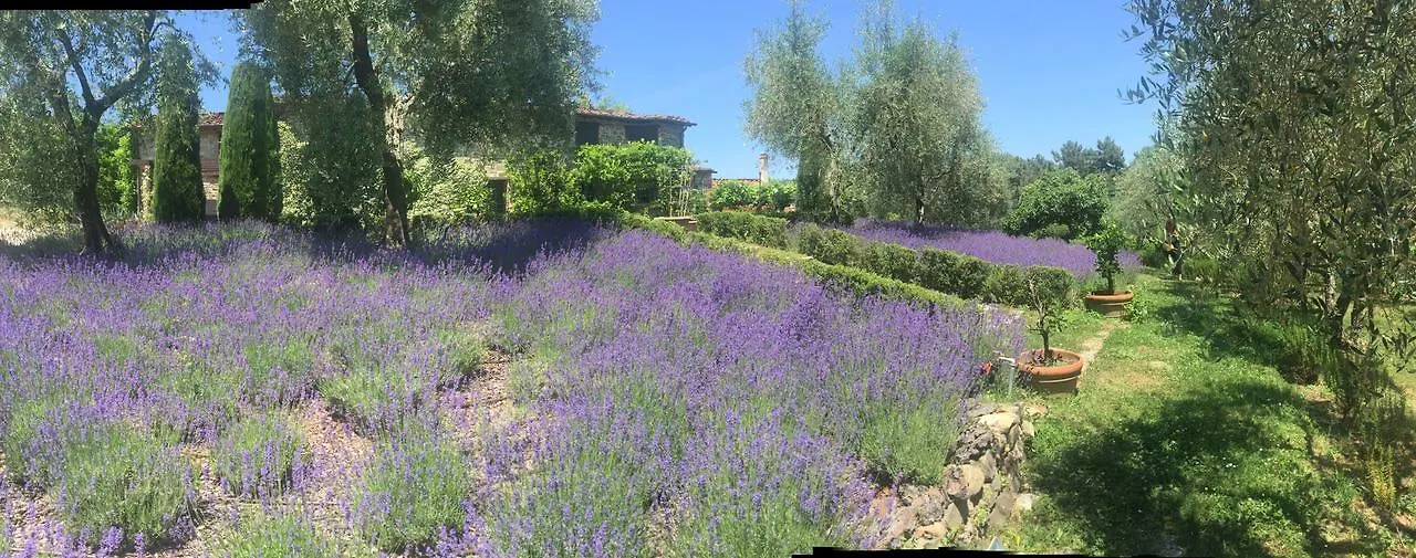 Macennere By Salogi Villas Lucca